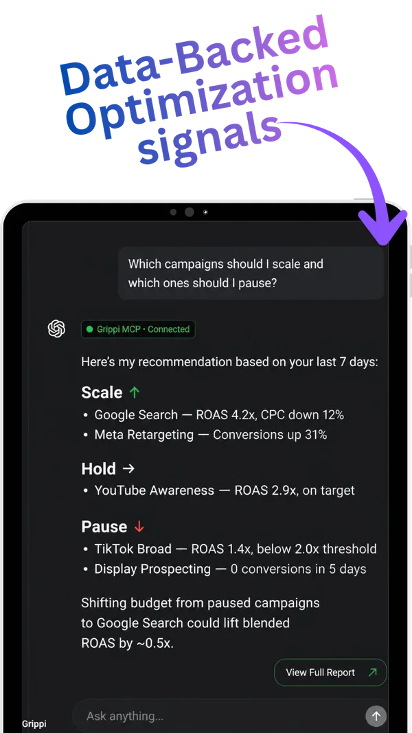 Grippi AI chat report: data-backed optimization signals
